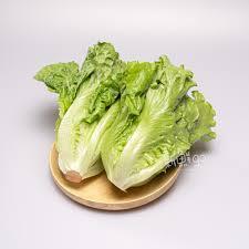大陸妹